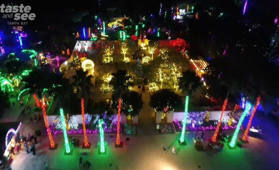 PHOTOS Christmas lights at the Florida Botanical Gardens in Largo